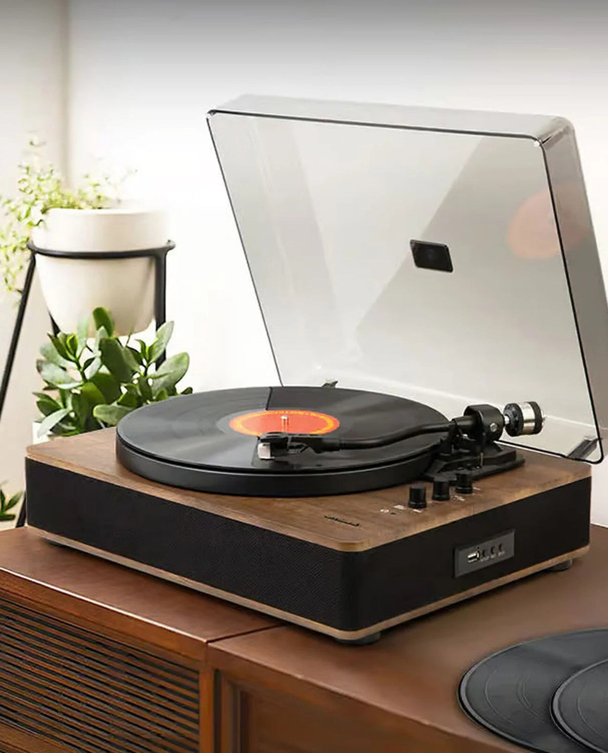 Muse - Tocadiscos Bluetooth Out MT-107 Madera - D2fy - Direct To Fans - Muse