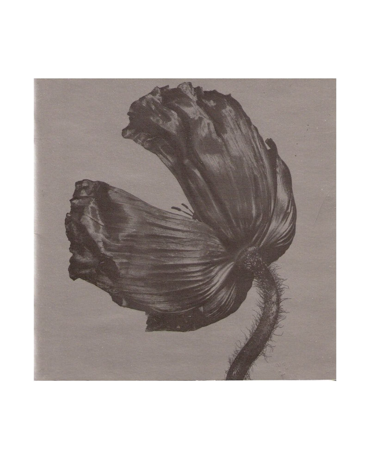Pet Shop Boys - CD "Release" - D2fy - Direct To Fans - D2fy