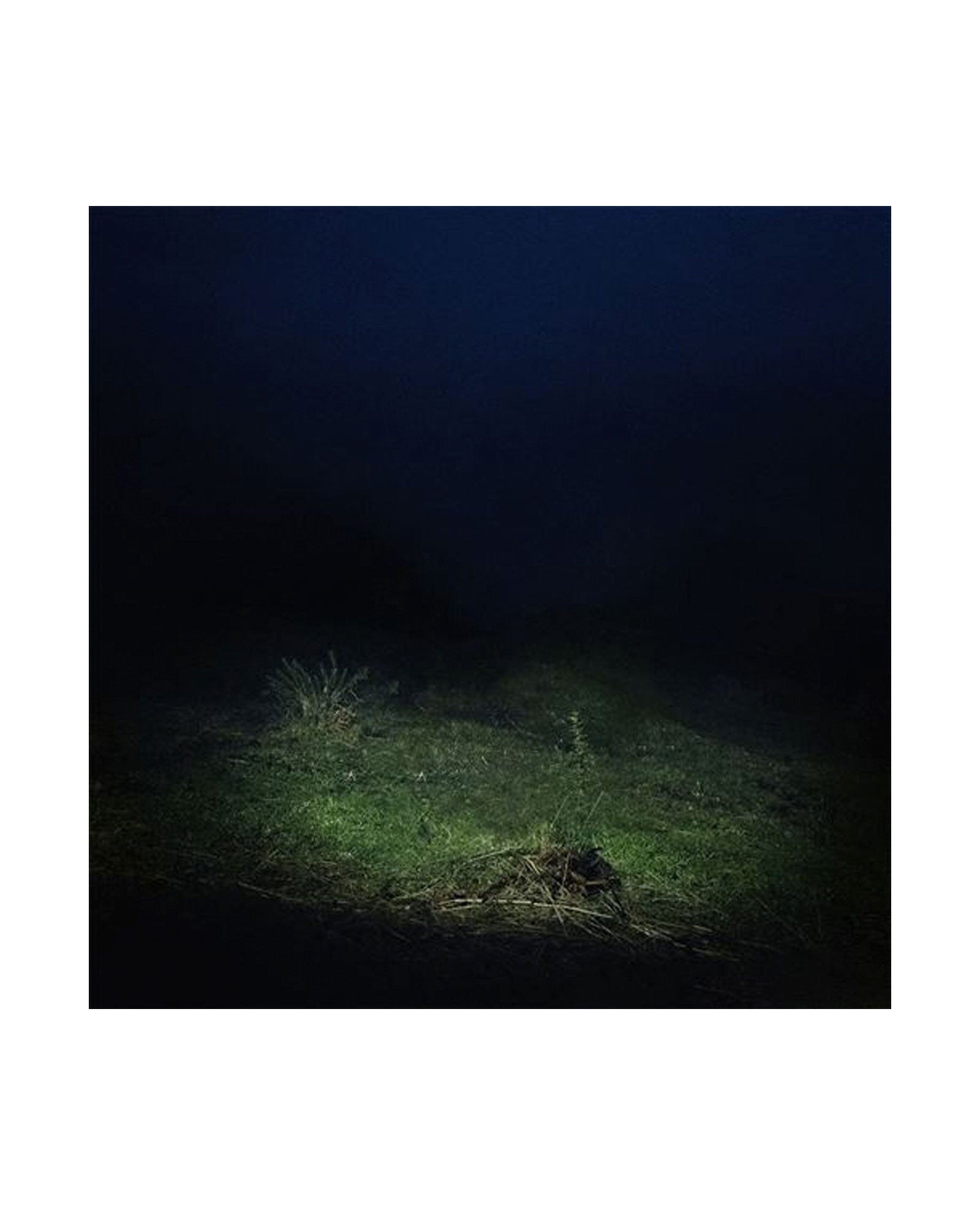 Sen Senra - LP Vinilo "PO2054AZ (Vol. II)" - D2fy · Rocktud - D2fy