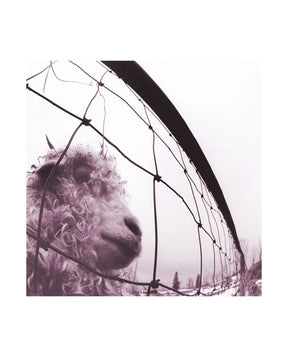 Pearl Jam - 2LP Vinilo "Vs (30th Anniversary Edition)" - D2fy · Rocktud - Rocktud